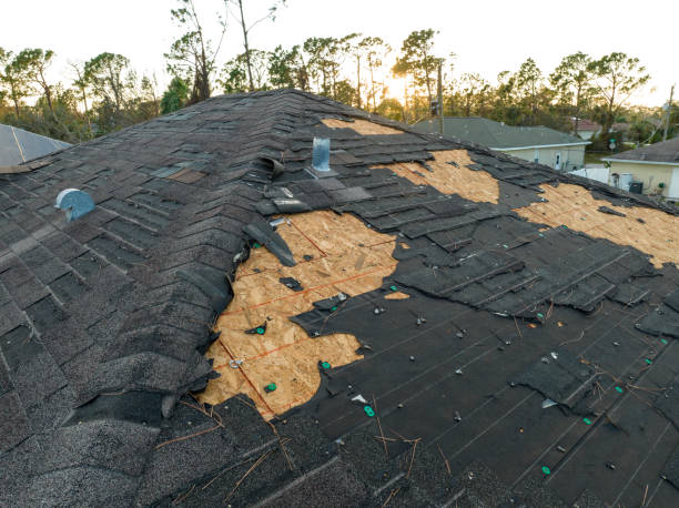 Best Roof Moss and Algae Removal  in Surf City, NC